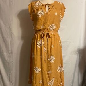 EUC Loft Outlet Ruffle Cap Sleeve Dress Size Medium